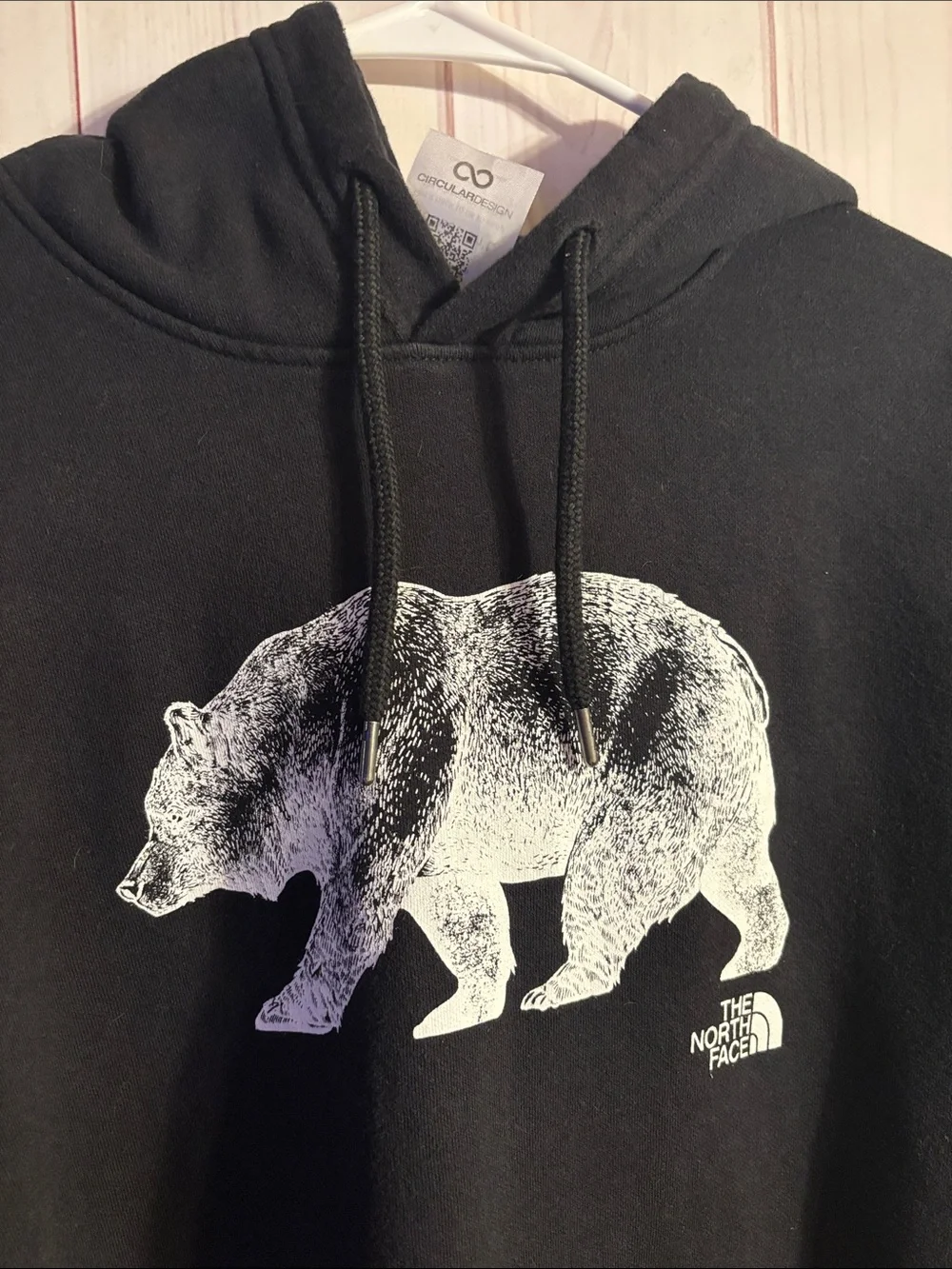 The North Face Men's Bear On The Move Standard-Fit Printed Hoodie | X-Large